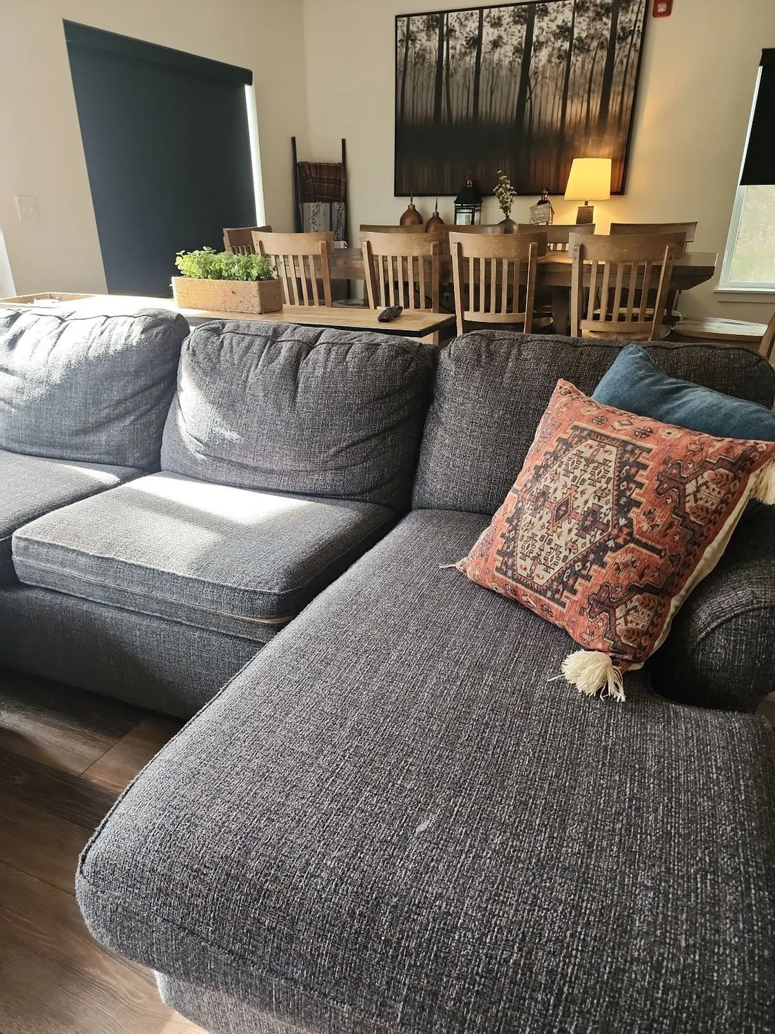 Chaise lounge - before, with throw pillows